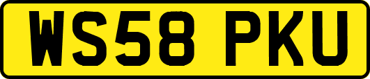 WS58PKU