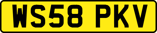 WS58PKV