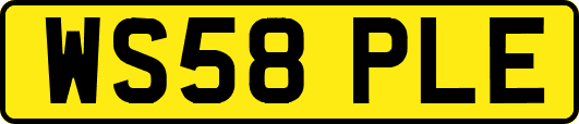 WS58PLE