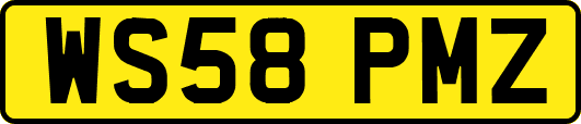 WS58PMZ