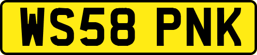 WS58PNK