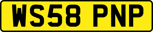 WS58PNP