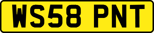 WS58PNT