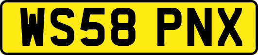 WS58PNX