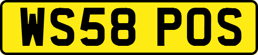 WS58POS