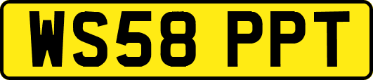 WS58PPT