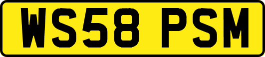WS58PSM