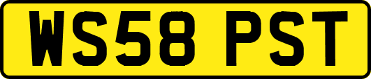 WS58PST