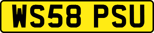 WS58PSU