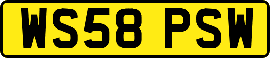 WS58PSW