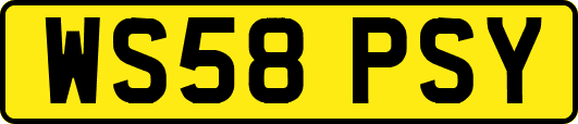 WS58PSY