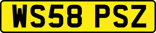 WS58PSZ