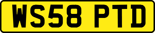 WS58PTD