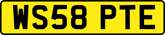 WS58PTE