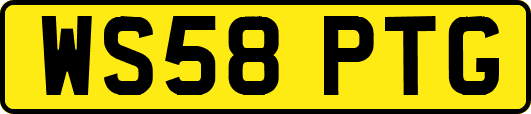 WS58PTG