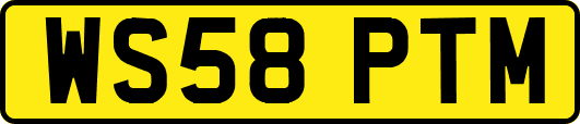 WS58PTM