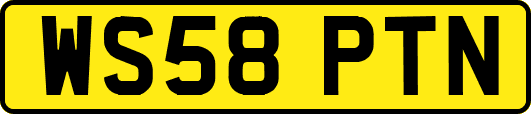 WS58PTN