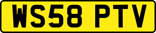 WS58PTV