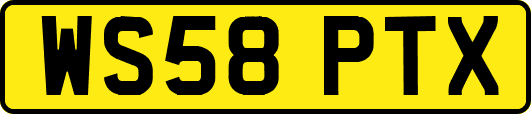 WS58PTX