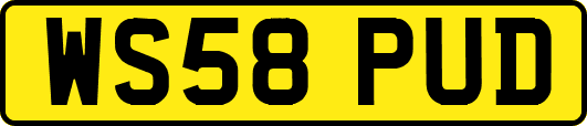 WS58PUD