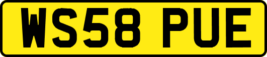WS58PUE