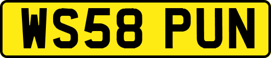 WS58PUN