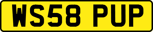WS58PUP
