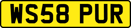 WS58PUR