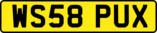 WS58PUX