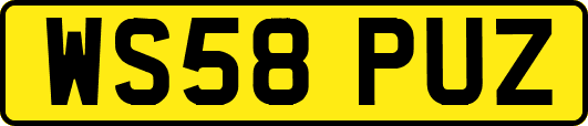 WS58PUZ