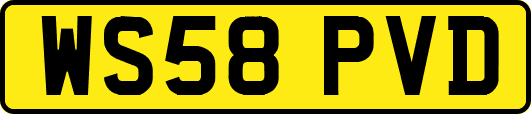 WS58PVD