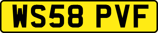 WS58PVF