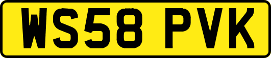 WS58PVK