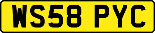 WS58PYC