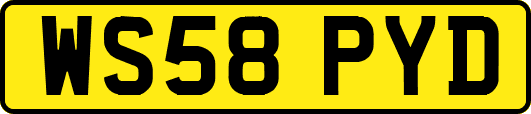 WS58PYD