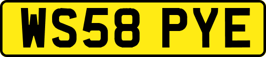 WS58PYE