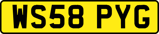 WS58PYG