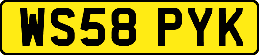 WS58PYK