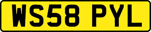 WS58PYL