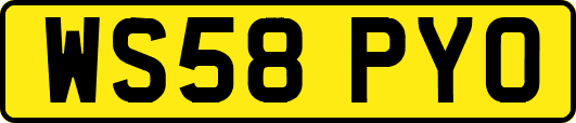 WS58PYO