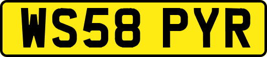 WS58PYR