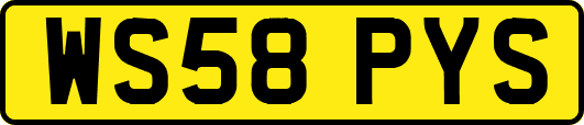 WS58PYS