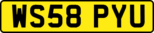 WS58PYU