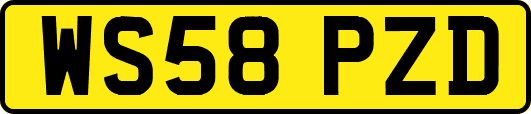 WS58PZD
