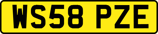 WS58PZE