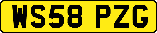 WS58PZG