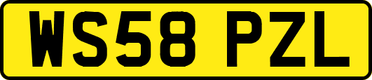 WS58PZL