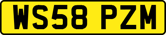 WS58PZM