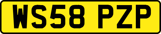 WS58PZP