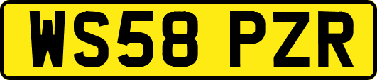 WS58PZR